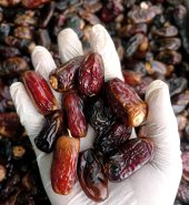 Nagal Dates – নাগাল খেজুর প্রিমিয়াম ১ কেজি